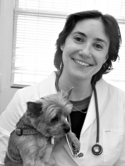 Dr Euzenat Clinique Véto B.B